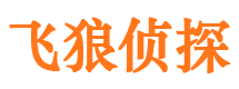 中宁寻人公司